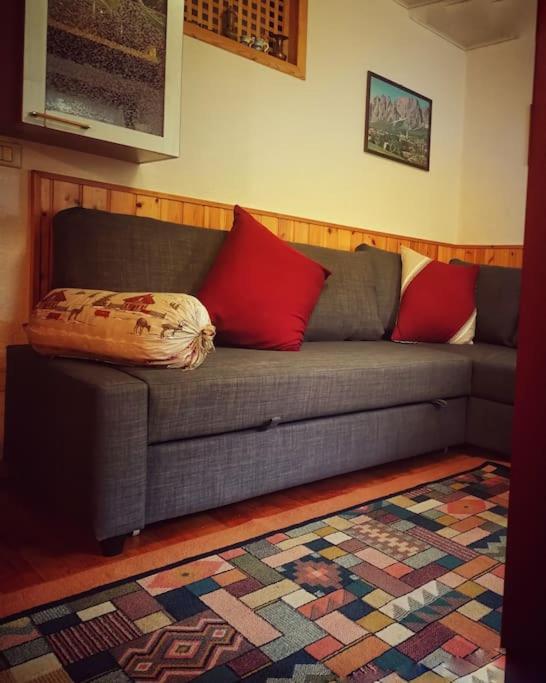 Appartement Cozy Alpine House Di Svaizer à San Martino Di Castrozza Extérieur photo